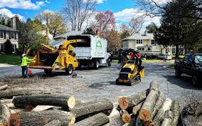 Best Lawn Pest Prevention  in Santa Anna, TX